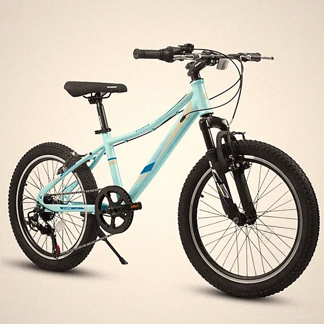 20 inch Children's Bicycle Shock Absorbing Front Fork 21 Speed ForBoys and Girls