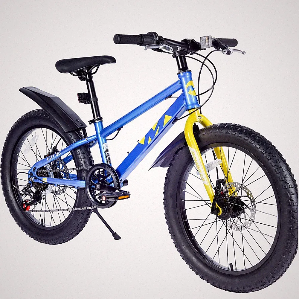 20" Fat Tire Kids Bike Shimano 7-Speed Gears，Disc Brakes，Snow Trails，Boys Girls