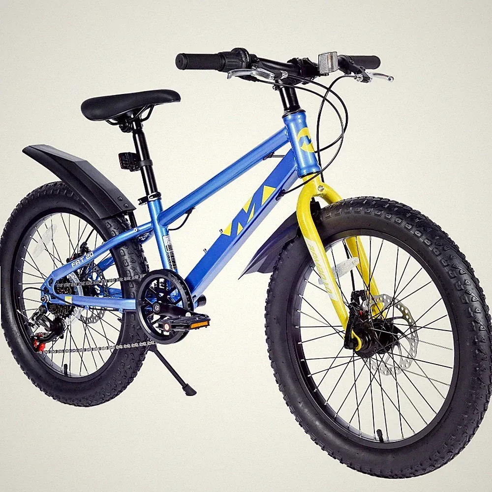 20" Kids Mountain Bike Fat Tire Bicycle 7 Speed Dual-Disc Brake for Boys & Girls