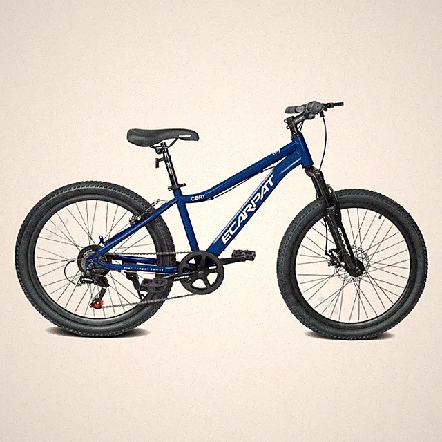 24 Inch Youth Mountain Bike 7 Speeds Front Suspension Alloy Rims & Disc Brakes