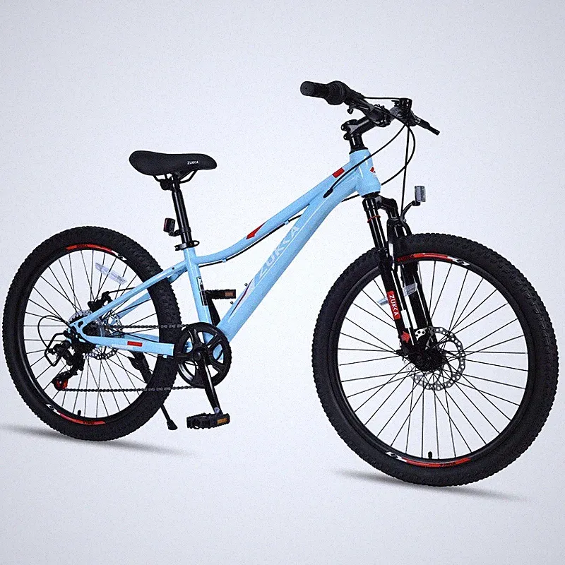 24 Inch Mountain Bike 6-Speed for 9-12 Years Old Kids Disc Brakes Bicycle