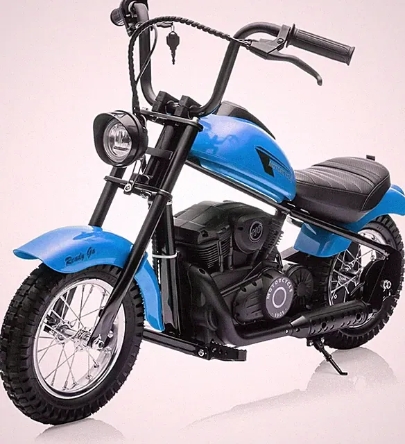 Kids Electric Dirt Bike Ages 8+,24v 250w,14MPH High Speed | LED Lights for Boys