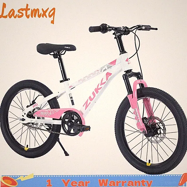 Mountain Bike 20 Inch MTB for Boys and Girls Age 7-10 Years for Christmas Gifts