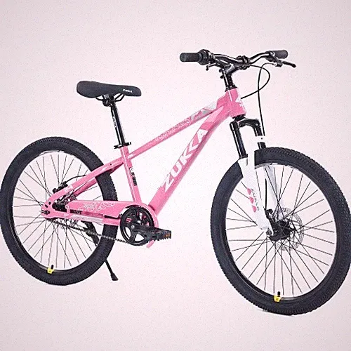 ZUKKA Mountain Bike,24 Inch MTB for Boys and Girls Age 9-12 Years,Multiple Color